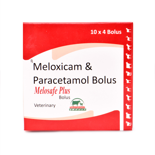 Meloxicam & Paracetamol Bolus