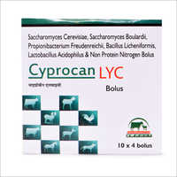 Tablets Saccharomyces Cerevisiae, Saccharomyces Boulardii, Propionibacterium Freudenreichii, Bacillus Licheniformis