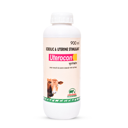 Uterocon Liquid By SAFECON LIFE SCIENCES