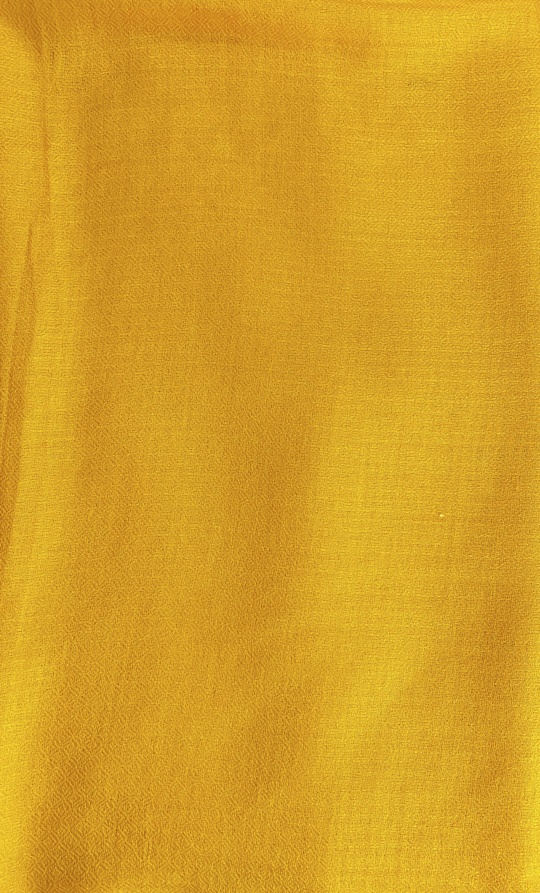 Pashmina Fine Wool Plain Yellow Unisex Scarfs