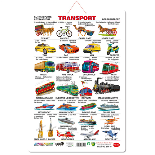 Transport Big Wall Charts