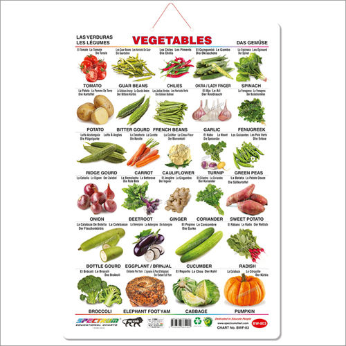 Art Card Vegetables Big Wall Charts