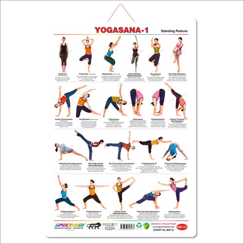 spectrum Polypropylene Educational Yogasana Wall Charts (Multicolour, 20 X  29 Inches) - Set of 6 : Amazon.in: Home & Kitchen