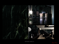 Spider Green Marble