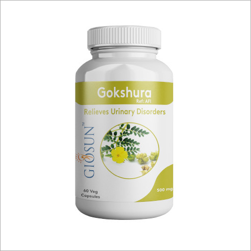 500 mg Ayurvedic Urinary Disorder Capsules By GIOSUN HEALTHCARE PRIVATE LIMITED