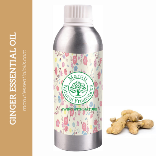 GINGER OIL