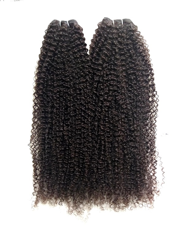 Black Kinky Curly Human Hair Extensions