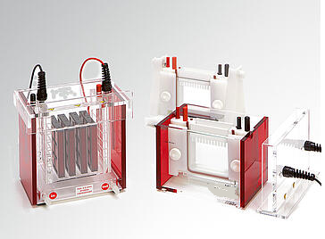 Polyacrylamide Gel Electrophoresis National Eco-mini