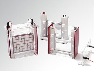 ELECTROPHORESIS & BLOTTING