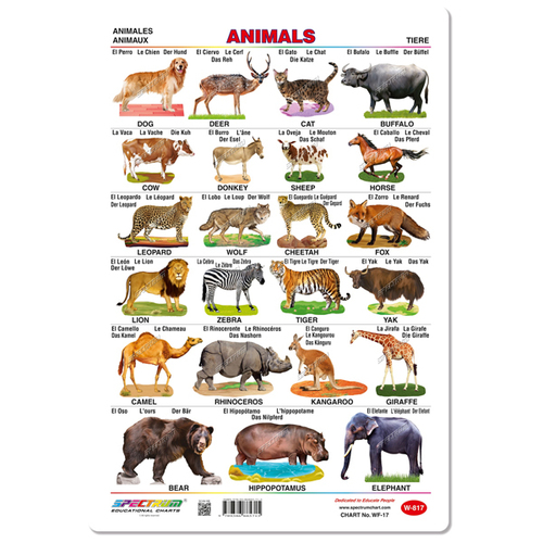 Animals Educational Wall Chart