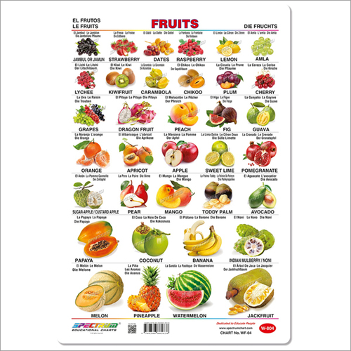 Fruits Educational Wall Chart
