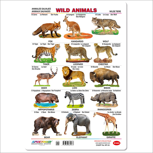 White Animals Chart at Best Price in Mumbai, Maharashtra | Skylark Printers