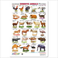 Domestic Animals Educational Wall Chart
