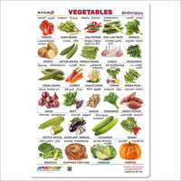 Vegetables Educational Wall Chart