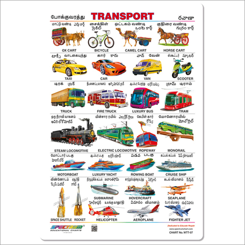 Transport Educational Wall Chart