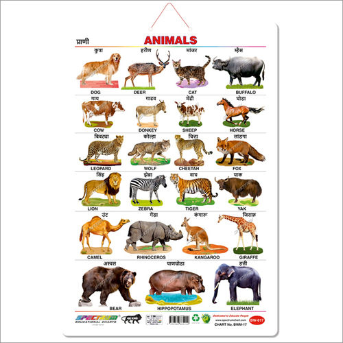 Marathi Animals Educational Wall Chart For Kids