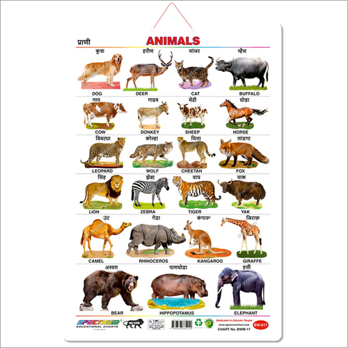 Art Card Marathi Animals Educational Wall Chart For Kids at Price 10