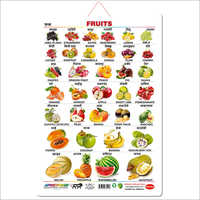 Marathi Fruits Educational Wall Chart for Kids