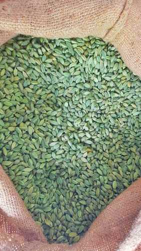 Green Cardamom 7 - 8 mm