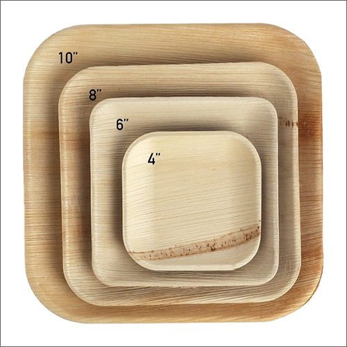 Biodegradable Disposable Areca Palm Leaf Plate