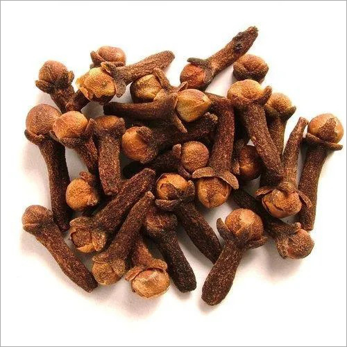 Raw Clove By NASCENT STAR TRADING PRIVATE LIMITED