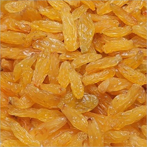 Natural Sangli Golden Long Raisins