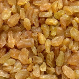 AAA Grade Nashik Yellow Raisins