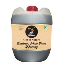 Kashmiri Multi Flora Honey - 100% Pure Unprocessed Raw Honey, 30kg, Self Bee Farm Production, 19% Moisture, 2-year Shelf Life