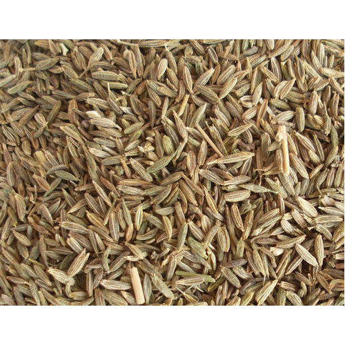 Cumin Seed By AMAZON SPICES PRIVATE LIMITED