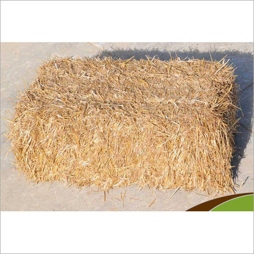 Wheat Straw