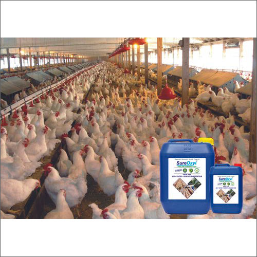 Liquid Silver Hydrogen Peroxide For Poultry