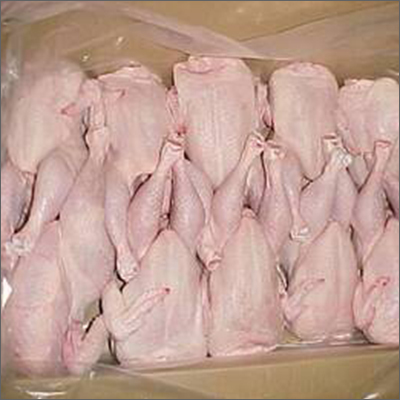 Frozen Whole Chicken By AGIAMS FASHION HOME