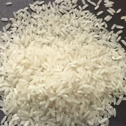 IR 64 Raw 5 % Broken Rice