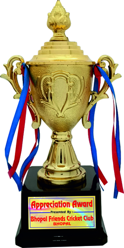 plastic trophy(PC-33)