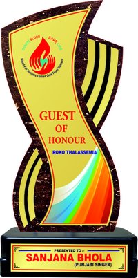 WOODEN TROPHY (PW-356)