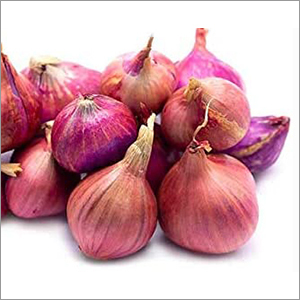 Small Onion By NUSAIBAH EXPORTS