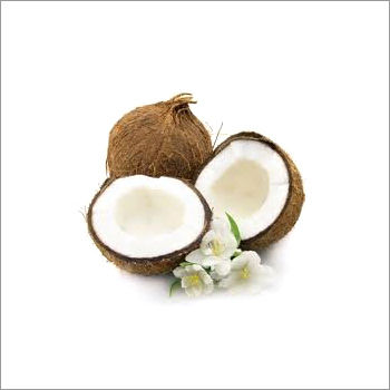 Water Coconuts