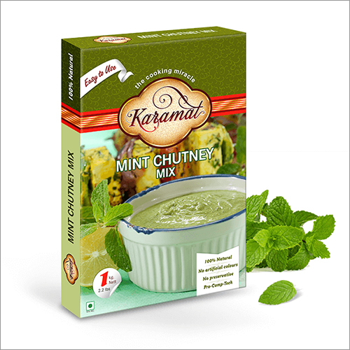 Mint Chutney Mix By FOOD SOLUTION (INDIA) LIMITED