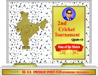 Wooden Trophies  W 4009