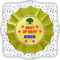 Wooden Trophies  W 4012