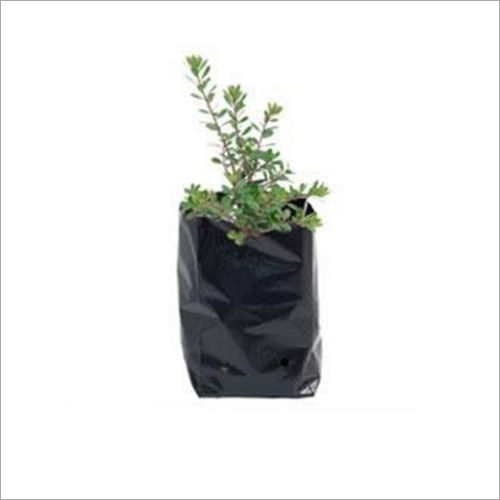 LDPE Nursery Bags