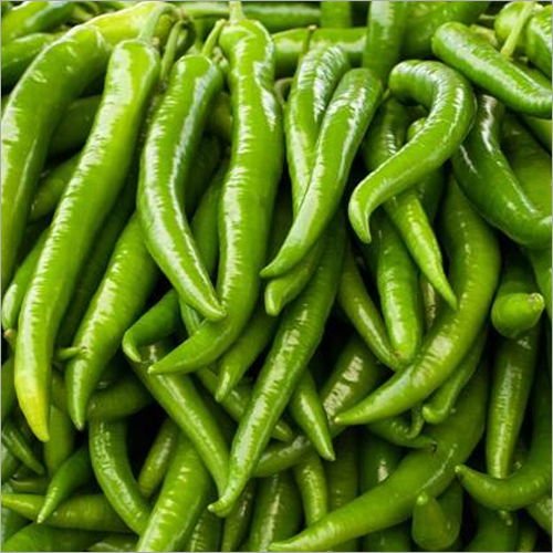 Fresh Green Chilli