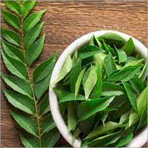 Natural Curry Leaves