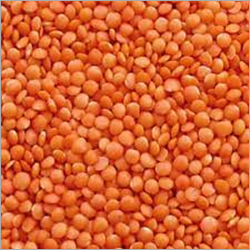 Red Masoor Dal
