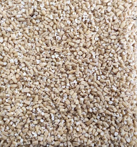 Oats Daliya