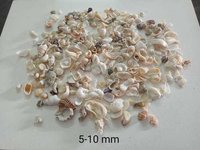 Crushed Seashell Mother Pearl terrazzo Flooring / Handicraft art and craft used