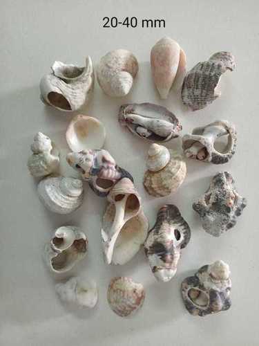 Brown Natural River Seashell Crushed Stone Engeenier Decoration Aquarium