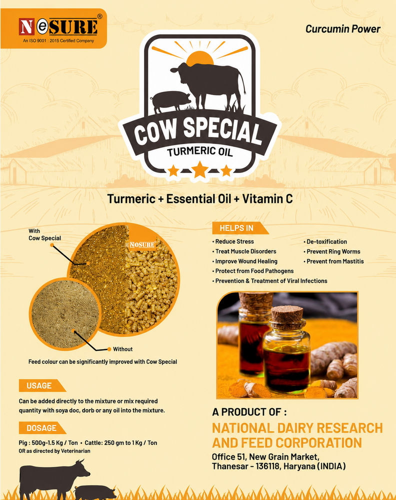 CURCUMIN Power Turmeric Oil - Powder Format | Stimulates Digestive Enzymes Improves Feed Color Reduces Stress Enhances Weight Gain & FCR