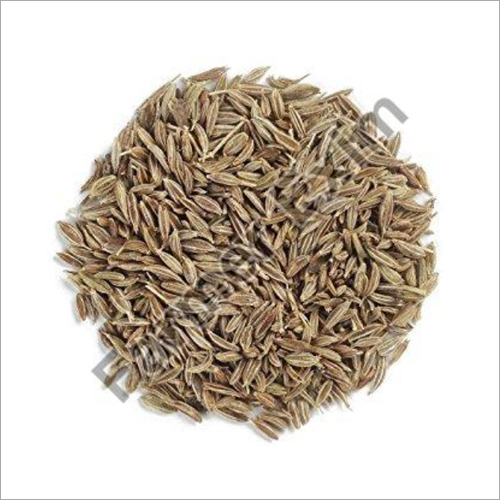 Cumin Seed, Jeera Suppliers, Cumin Seed Exporters and Manufacturers