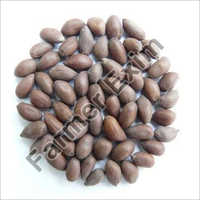 Cotton Seeds